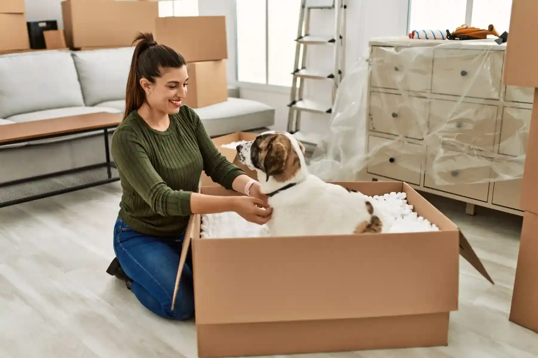 Best Interstate Removalists Service from Wollongong to Tasmania