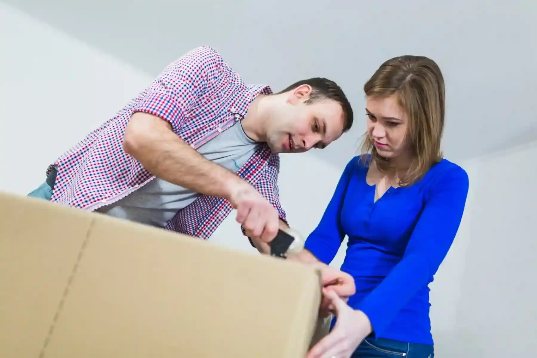 Wollongong to Penrith Removalists