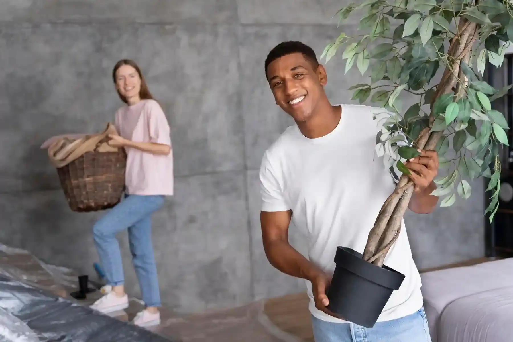 Discover the gold standard in relocation with our Wollongong to Crescent Head moving service – exactly what you've been dreaming of!