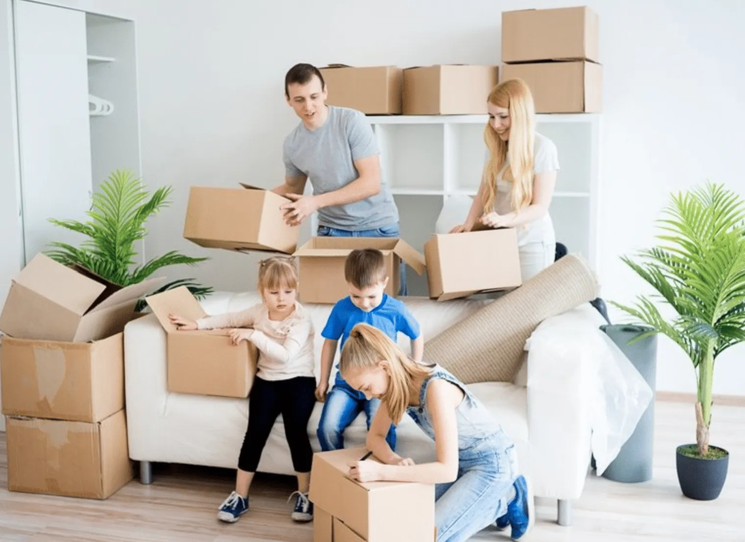 Family packing for an interstate move from Wollongong