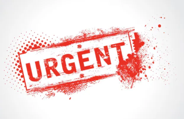 Urgent Removalists for Local and Interstate Moves Wollongong